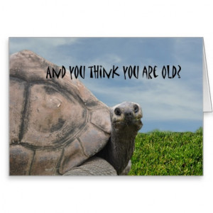 funny sea turtle pics funny room posters really funny boys names funny ...