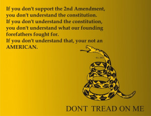 2nd Amendment Quote