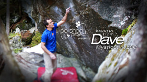 Tips And Tricks From Dave Tate