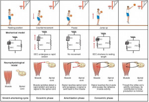 Submit a Comment Cancel reply