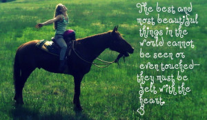 Horse Quote: Photos Gallery, Horse Quotes, Horses Tack Care ...