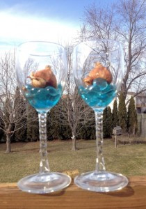 Forcing Tulip bulbs inside