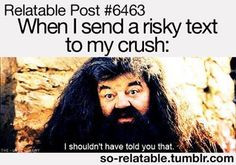 Relatable Quote #hagrid #harry potter More