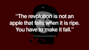 The revolution is not an apple that falls when it is ripe. You have to ...