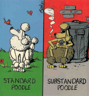 Poodle Quotes-substandard-20poodle-20cartoon.jpg