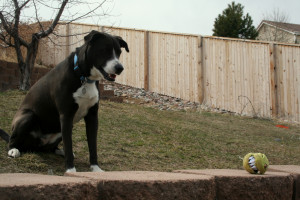 Camouflage Quotes She realized i saw and decided