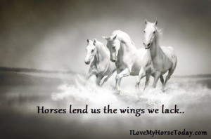 Horses Lend Us The Wings We Lack