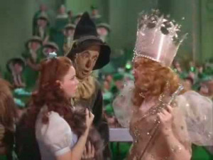 as the scarecrow said when glinda revealed the very shoes dorothy wore ...