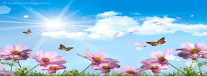 Butterfly and flower timeline cover banner