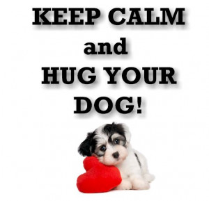 Keep Calm And Hug Your Dog