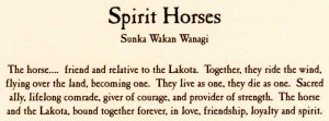 spirit horses sunka wakan wanagi john two hawks quote on the back
