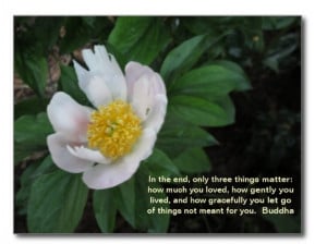 buddha quotes on healing