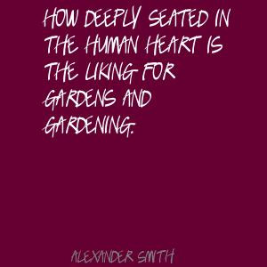 Human Heart Quotes