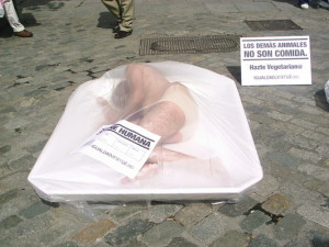 view original image )