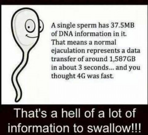 single-sperm-has-37.5mb-of-DNA-resizecrop--.jpg