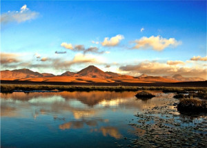 ... chartered accountants imran west hills famous quotes of allama iqbal