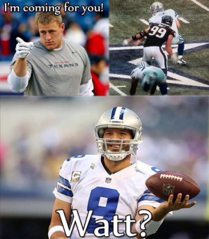 It was a great Dallas Cowboys season. And the Internet didn’t ...