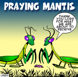 Cartoon: praying mantis (medium) by toons tagged insects,prayer,give ...