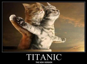 Titanic versión gatitos - gatos chistosos