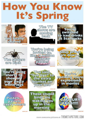 funny spring summer allergies