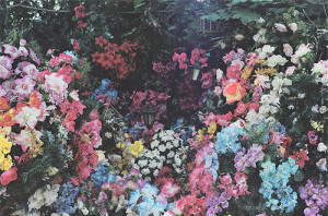 floral, flowers, gorgeous, indie, perfect