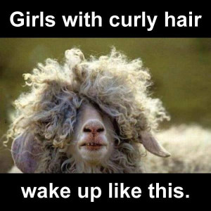 ... Funny memes , Funny Pictures // Tags: Girls with curly hair