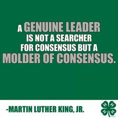 MLK quote More