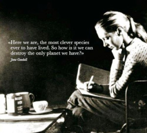 Jane Goodall > Quotes > Quotable Quote