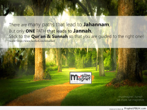Choose your path! - Islamic Quotes, Hadiths, Duas ← Prev Next →
