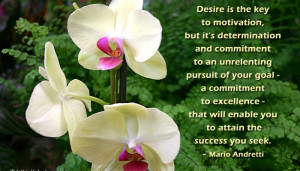Desire Is The Key To Motivation But It’s Determination And ...