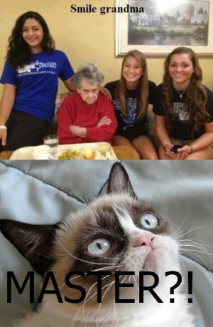 Grumpy grandma and grumpy cat!