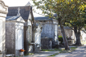 ... we ambled by, so I took a few photos through the iron gate. Next time