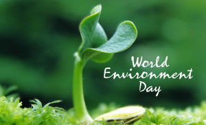 World Environment Day Quotes Images