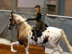 From the Saddle: My Dream Side Saddle Mount