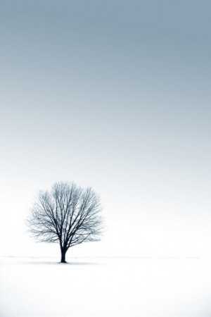 Facing loneliness: the search for human connection