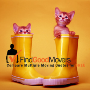 of moving companies for local or long distance moves from Moving ...