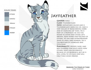 Jayfeather Character Sheet by * Nightrizer