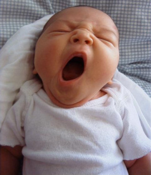 yawn.jpg#yawn