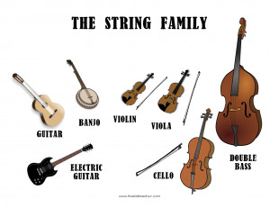 The String Family- The Bird Feed