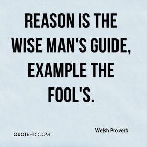 Welsh Proverb - Reason is the wise man's guide, example the fool's.