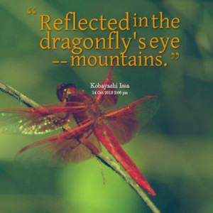 Reflected in the dragonfly's eye -- mountains.