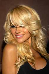 Hair & Hairstyling Tips: Pam Anderson Long Blonde Hair Icon