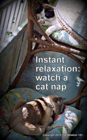 With the unusually warm weather, Layla worked on the porch while her ...