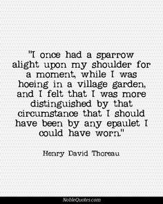 Henry David Thoreau Quotes | http://noblequotes.com/