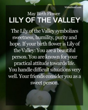 May Birth Flower : Lily of the Valley