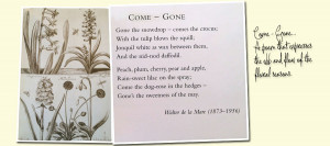 ... Is Mean To Me be false in the case of ex girlfriend review website