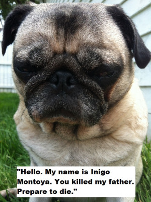 Really Cute Pugs Cute pug quotes memorable '80s