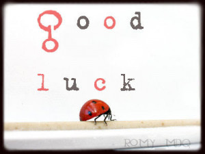 Lady bugs are a symbol of good luck ! I wish you all the best of luck ...
