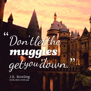 Quotes Picture: don't let the muggles get you down