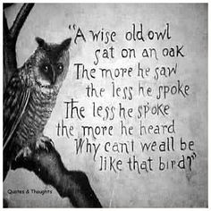 ... owls sat old schools quotes quotes sayings wise owls mothers goose